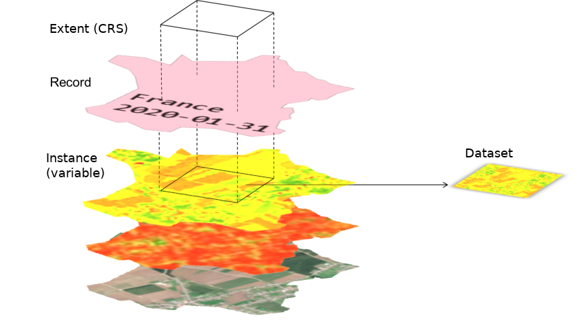 Dataset described by a record and an instance